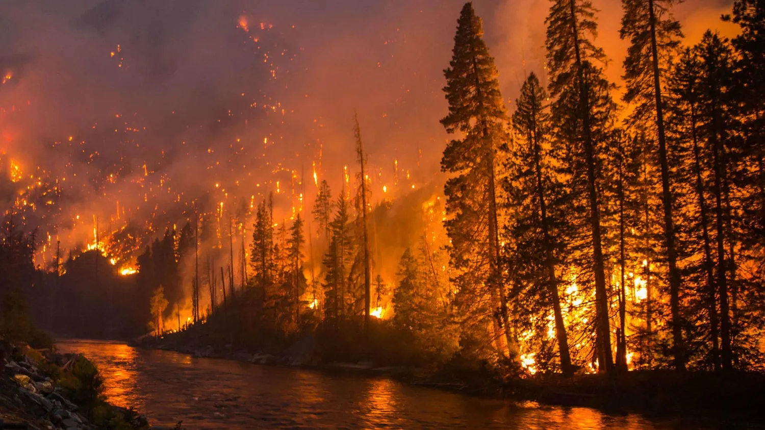 Early wildfire detection