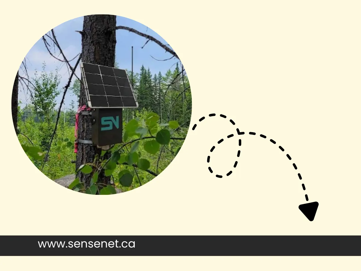 AI-Powered Solutions