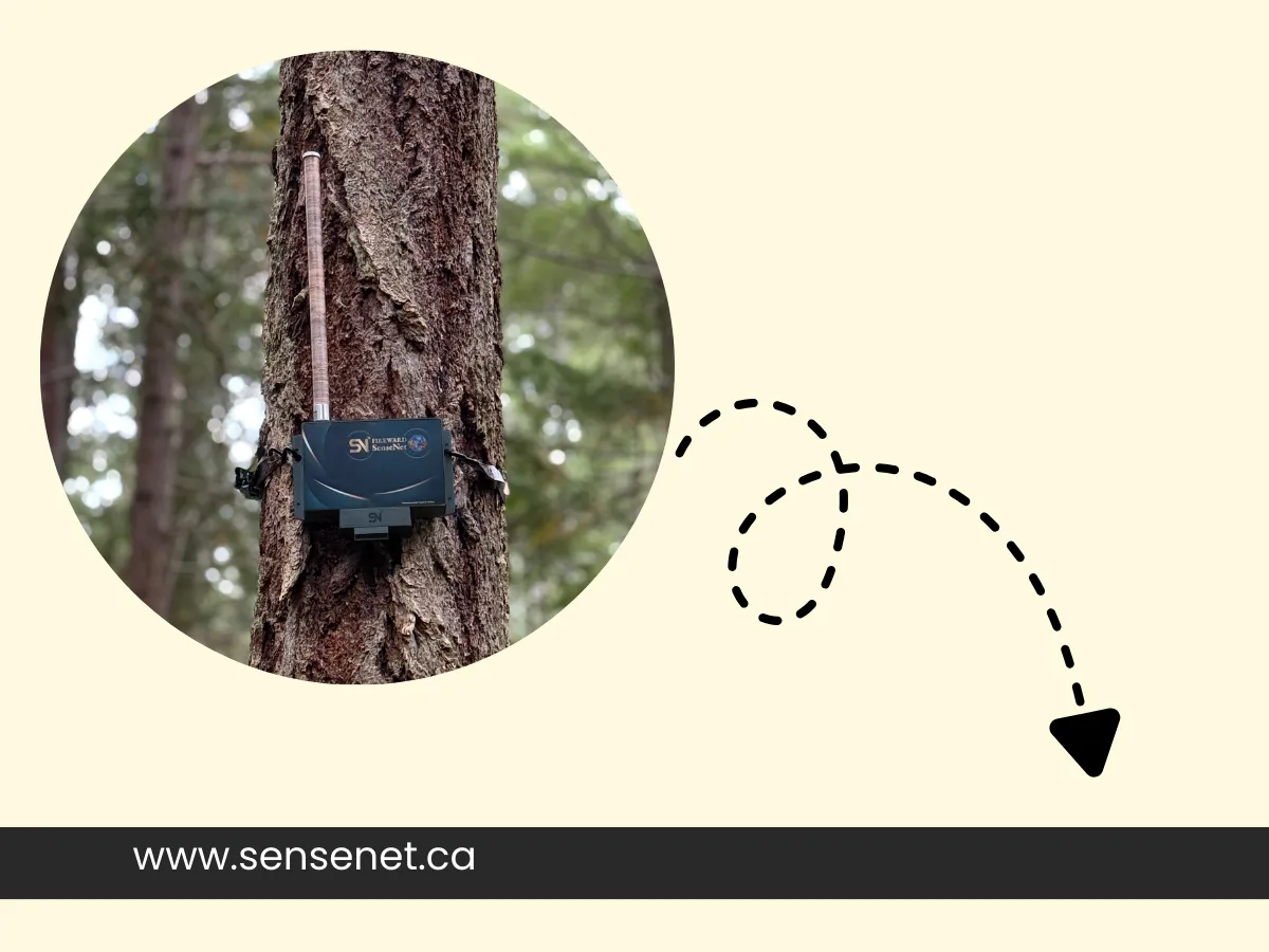 AI-Powered Solutions