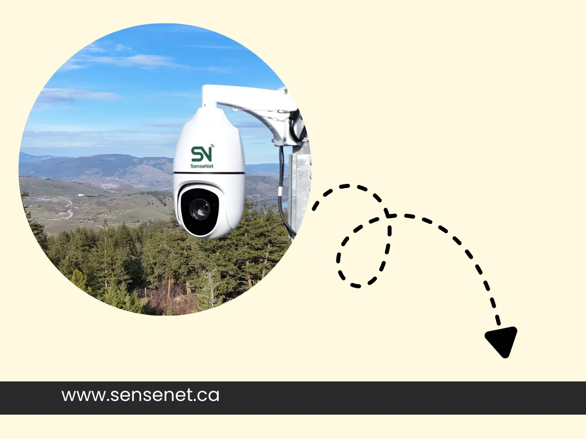 AI-Powered Solutions