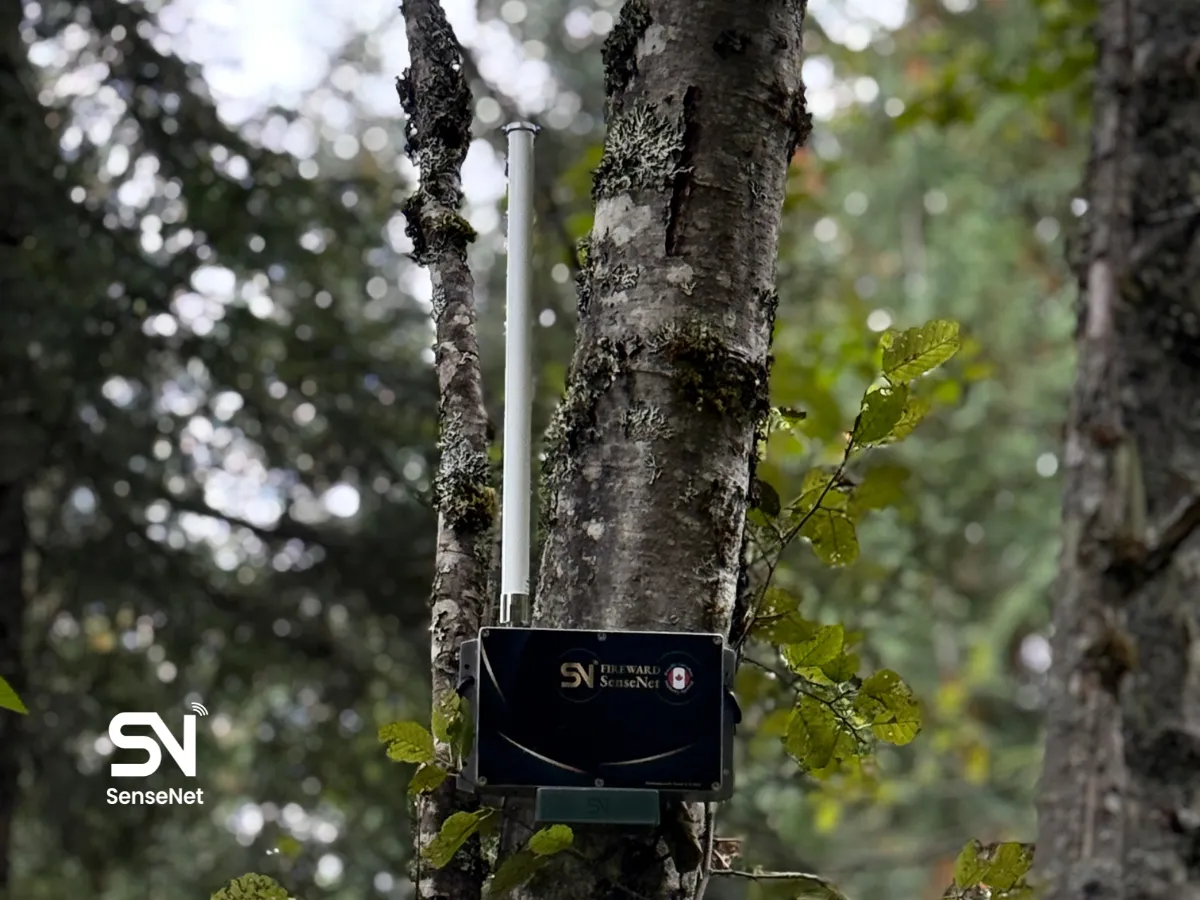 AI forest fire detection