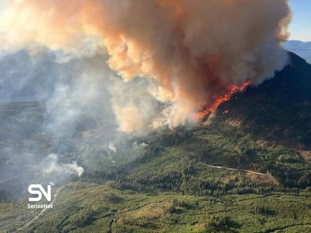 AI forest fire detection