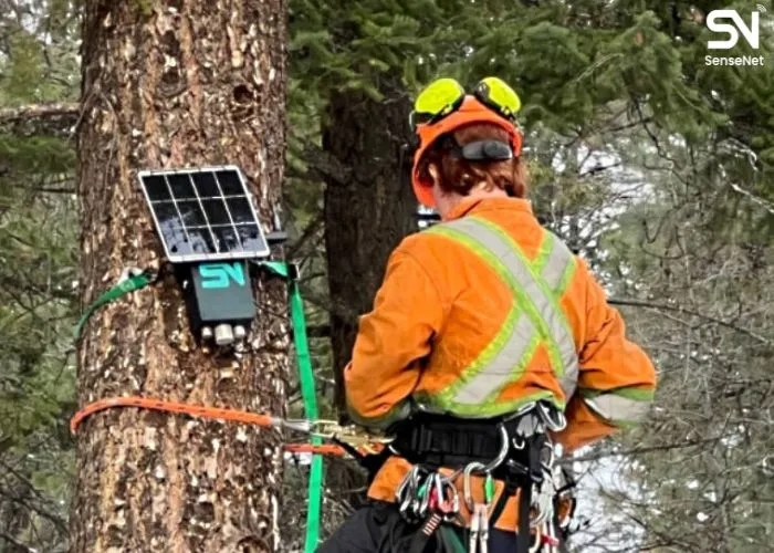 AI wildfire detection