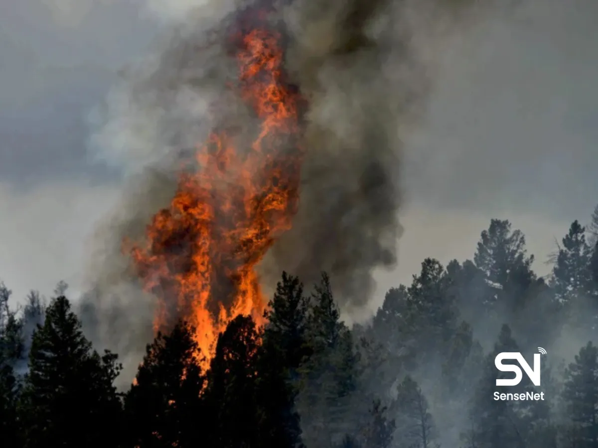 Early Fire Detection