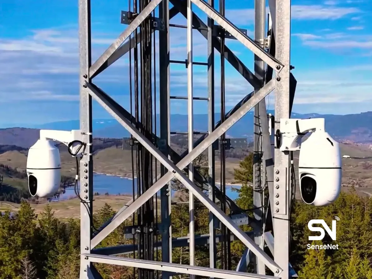 Early Fire Detection