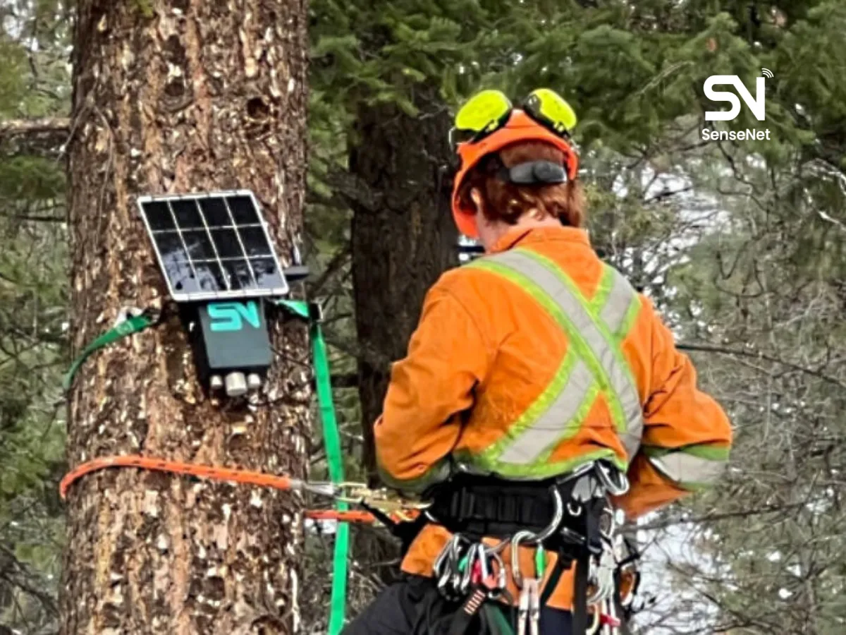 IoT-Based Early Fire Detection Systems