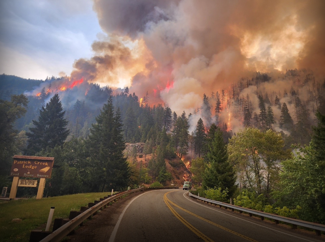 SenseNet For Public Authorities Mitigating Forest Fire