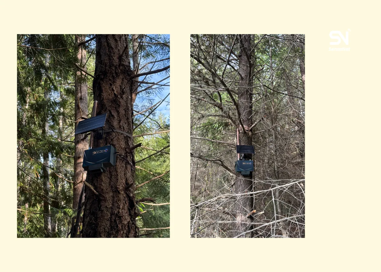 Sustainable Forestry Tools