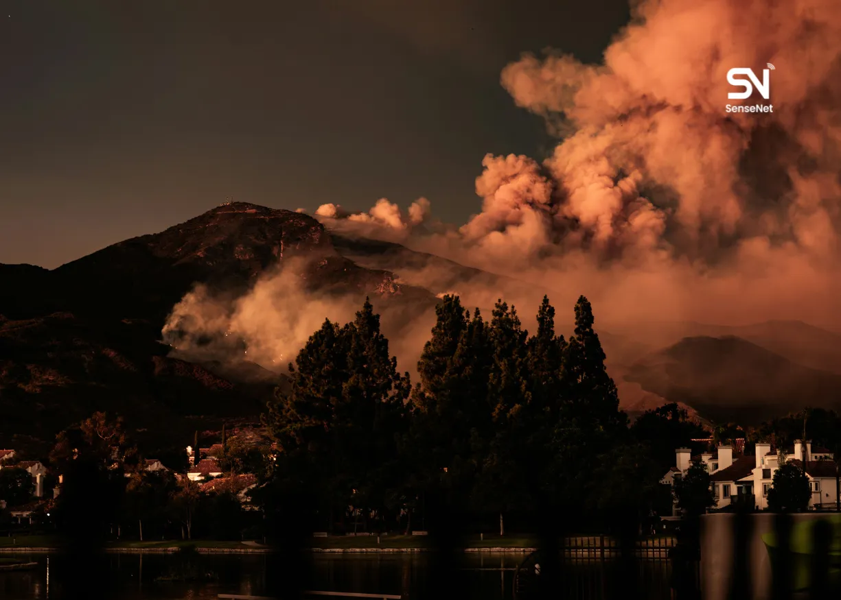 Sustainable Forestry Tools