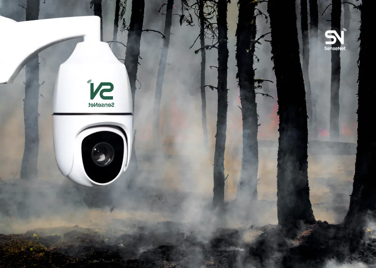 Sustainable Forestry Tools