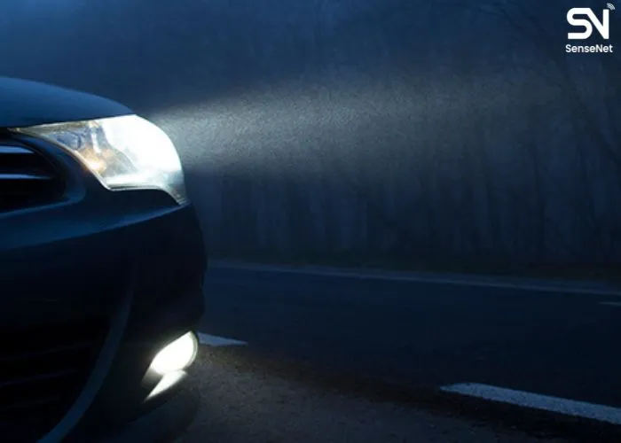 Wildfire Evacuation Guide