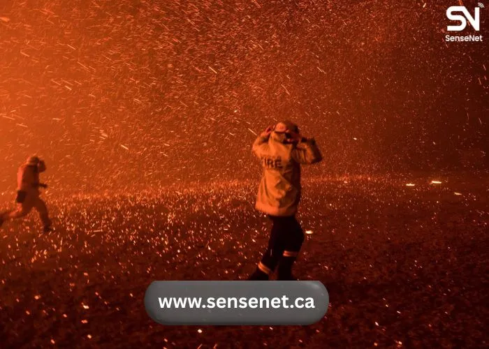 wildfires and tourism