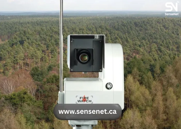 wildfires and tourism