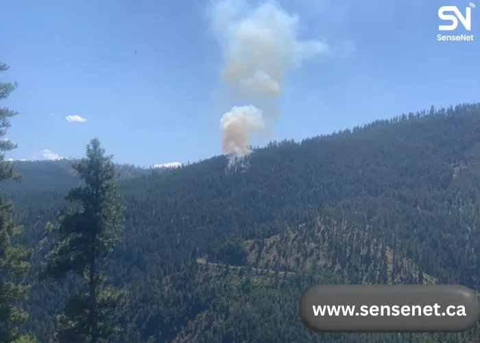Early wildfire detection