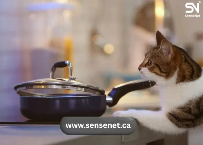 Pet Fire Safety Tips