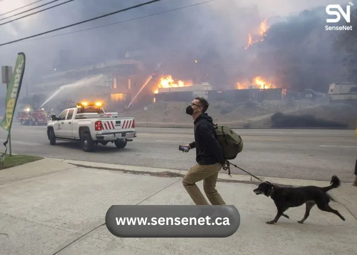 Pet Fire Safety Tips