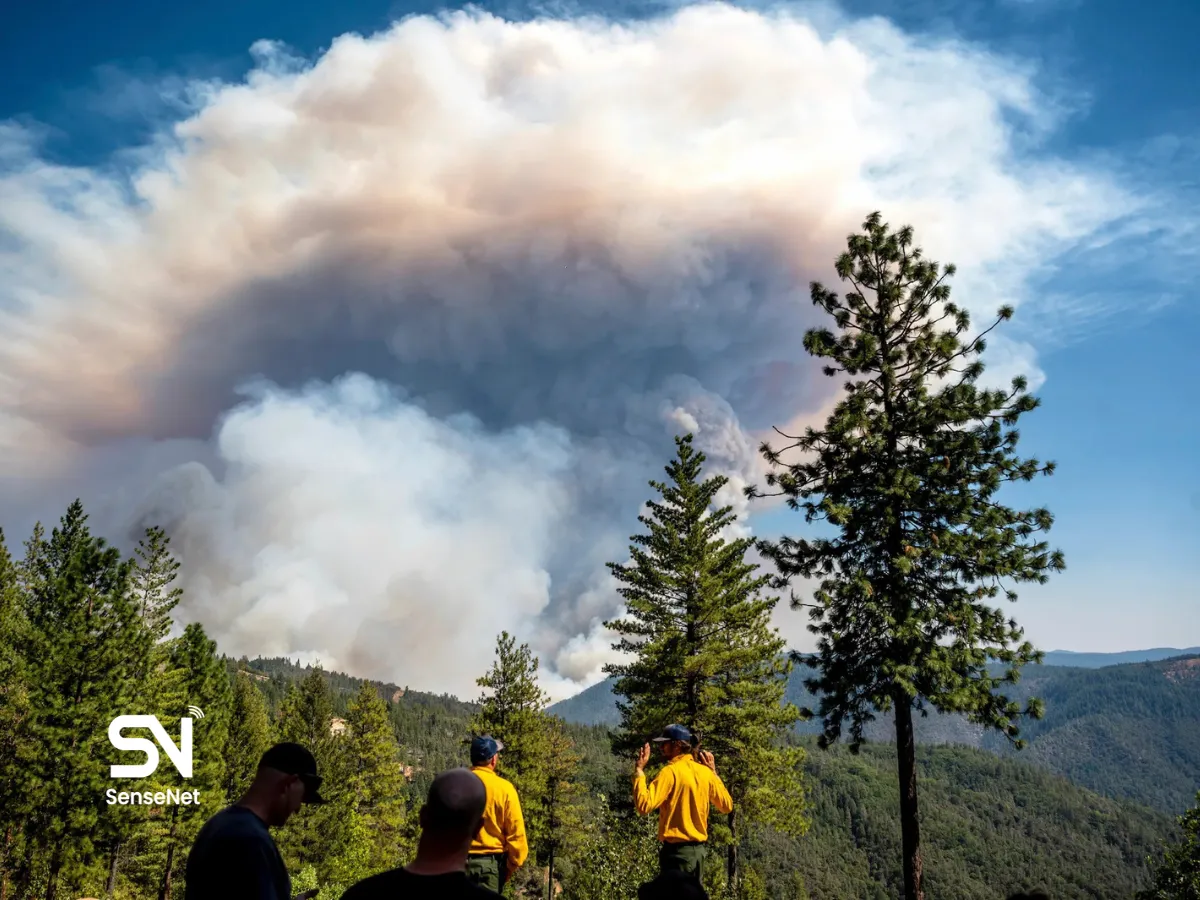 climate change and wildfires