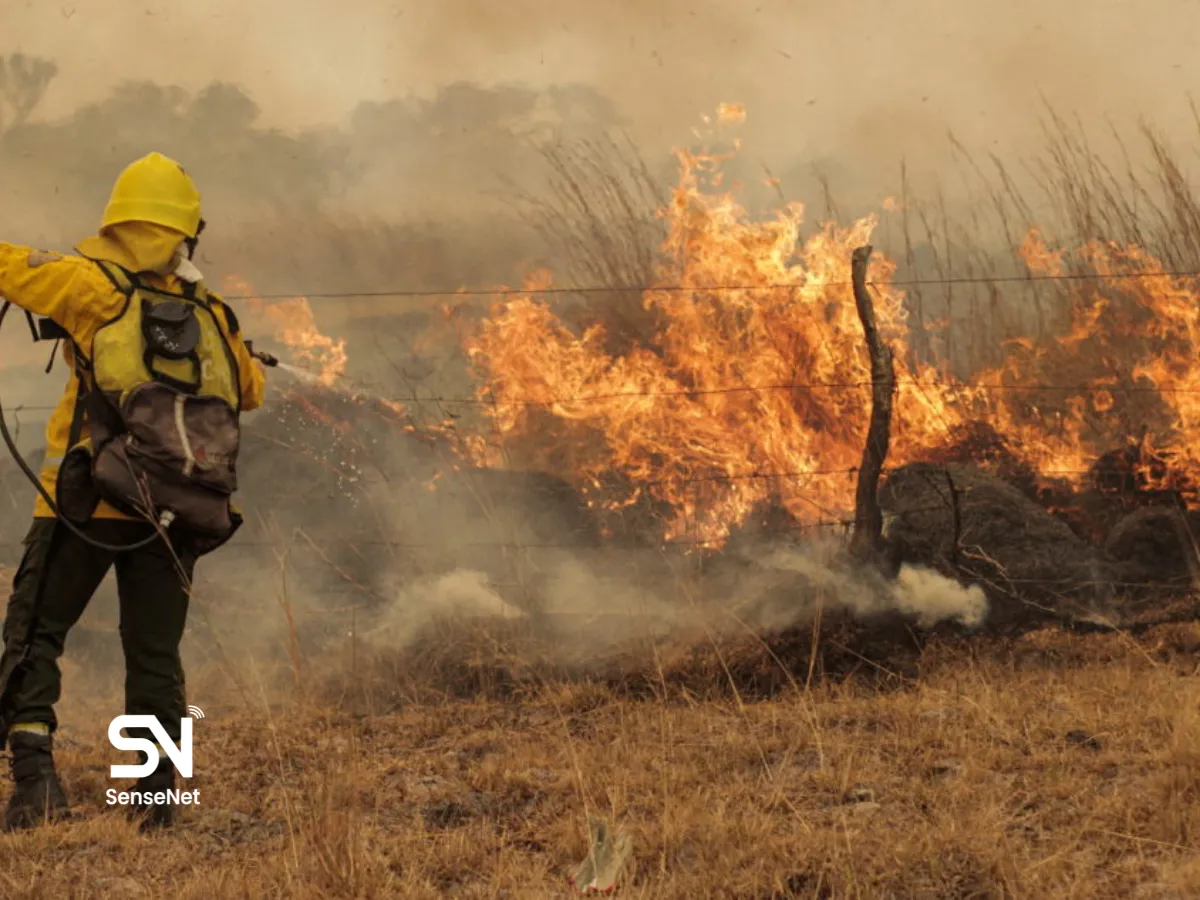 climate change and wildfires