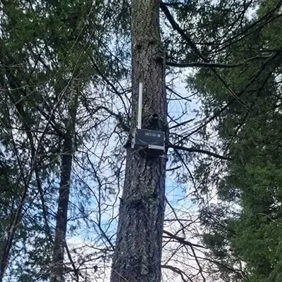 Gas Detection Sensors on tree - SenseNet Wildfire Detection