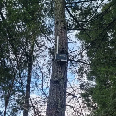 Sensor