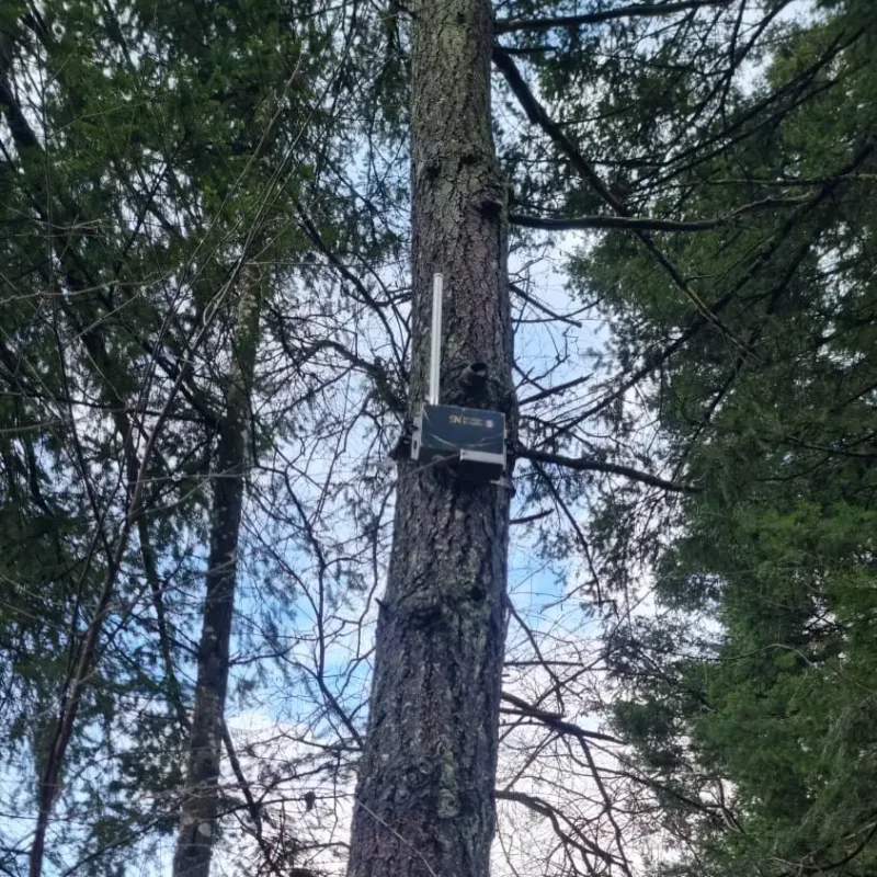 Sensor