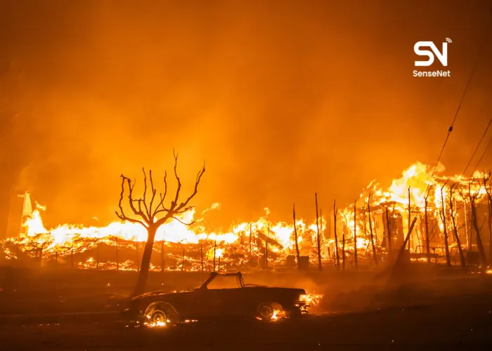 facts about wildfires