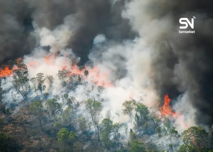 facts about wildfires