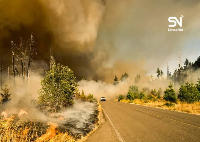 facts about wildfires
