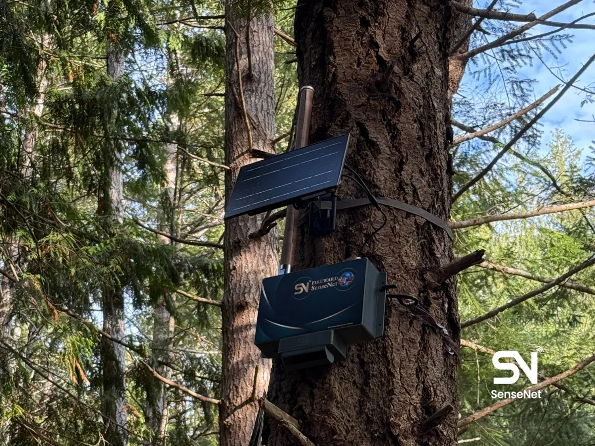 forest fire sensors