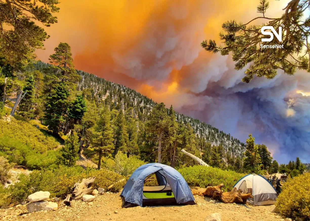 how to escape a wildfire