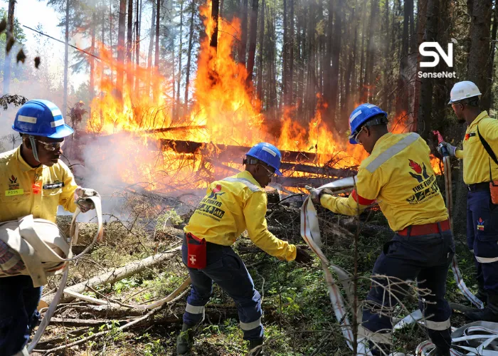 natural wildfire suppression