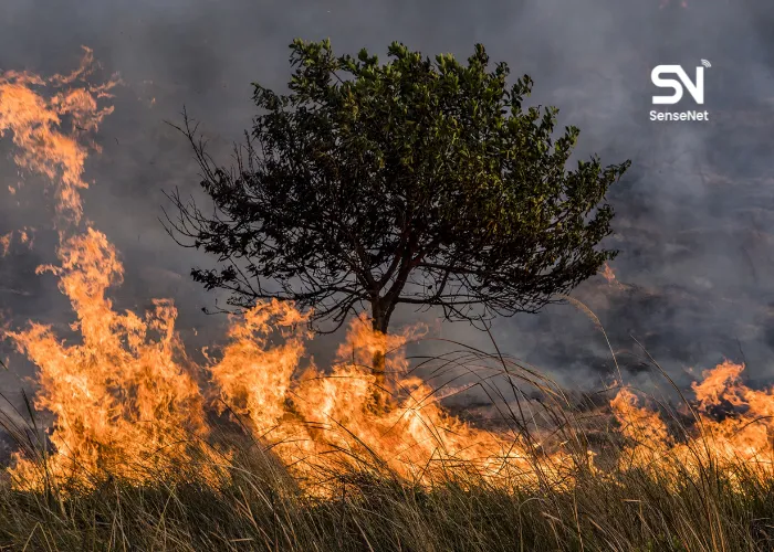 natural wildfire suppression