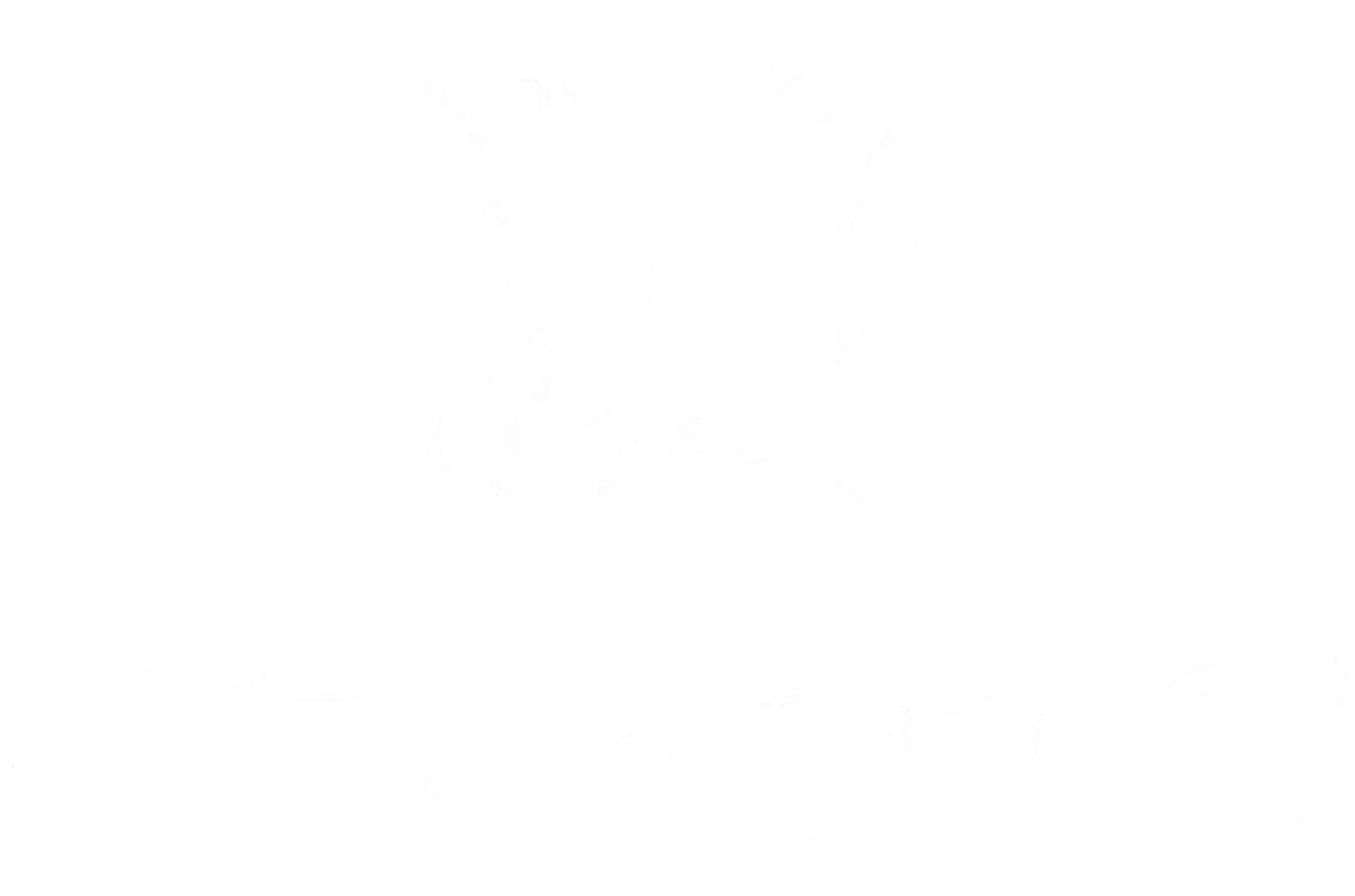 skyscout3