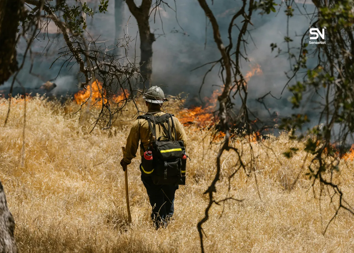 wildfire smoke detection AI