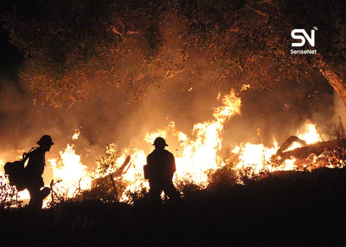 wildfires at night