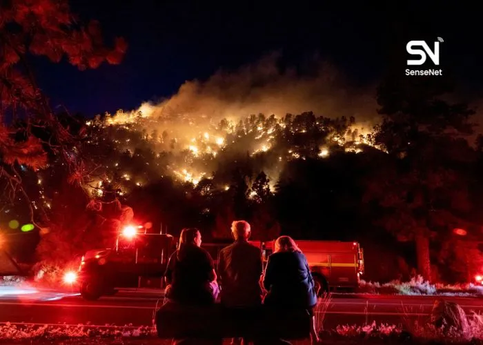 wildfires at night