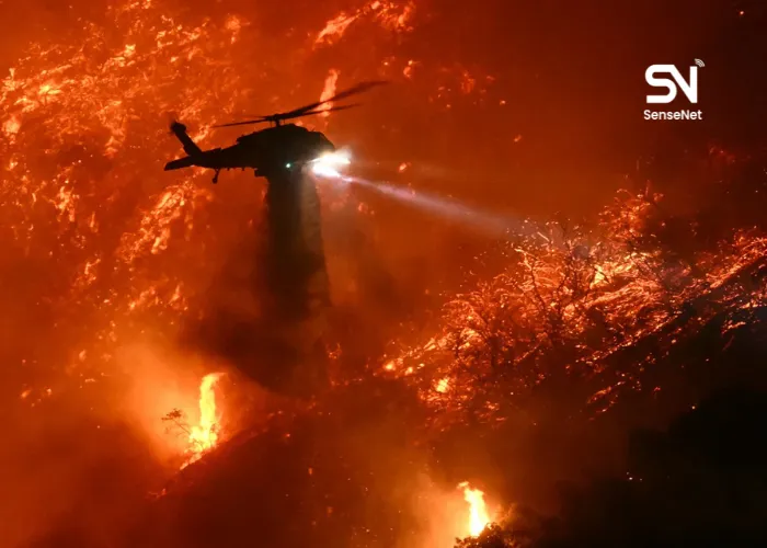 wildfires at night