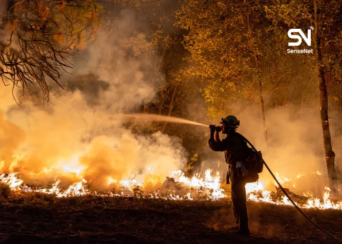 wildfires at night
